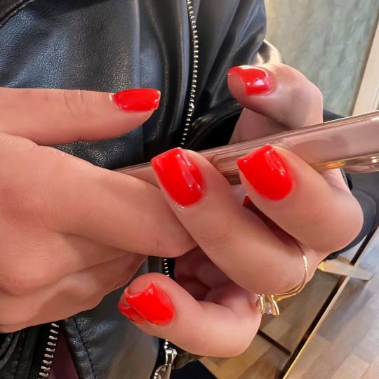 Nikita studio usluga