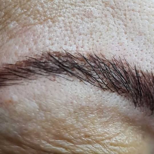 SunBox #beograd Obrve Brow lift Browlift sa farbanjem  #browlift #vidikovac #sunbox #obrve