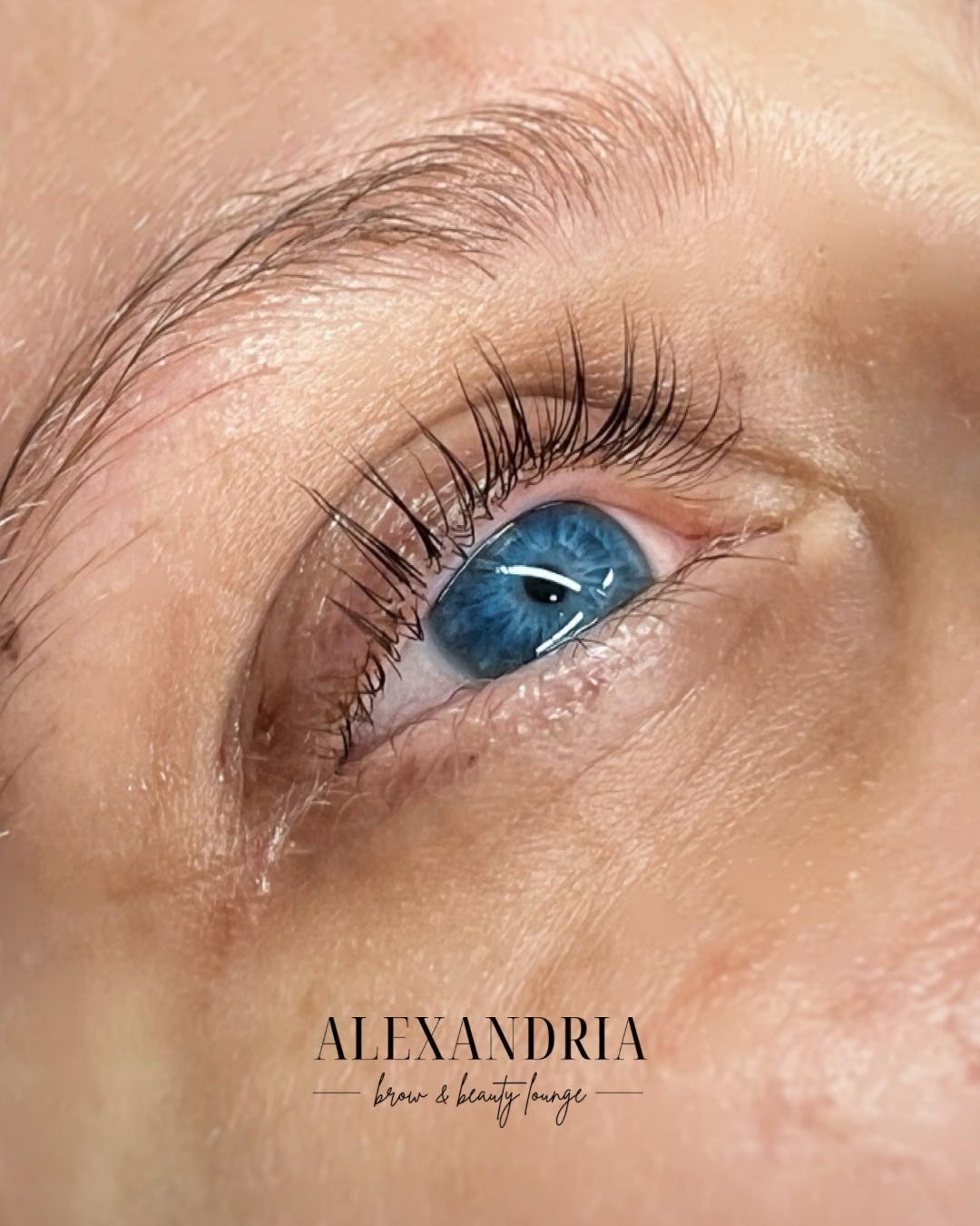 Alexandria Brow&Beauty lounge #beograd Trepavice Lash lift