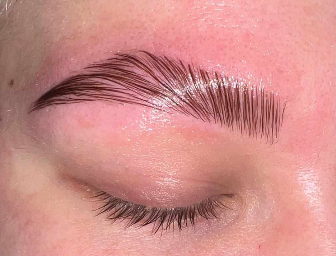 Persefona beauty #beograd Obrve Brow lift + oblikovanje + farbanje obrva