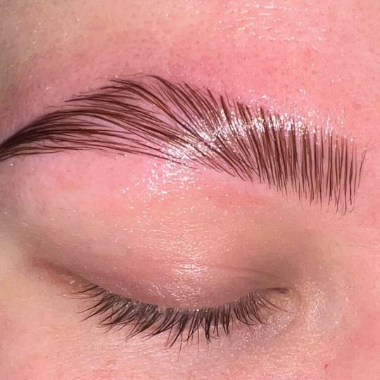 Persefona beauty #beograd Obrve Brow lift + oblikovanje + farbanje obrva