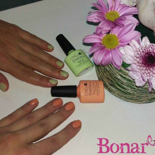 Bonar #beograd Manikir Manikir + shellac
