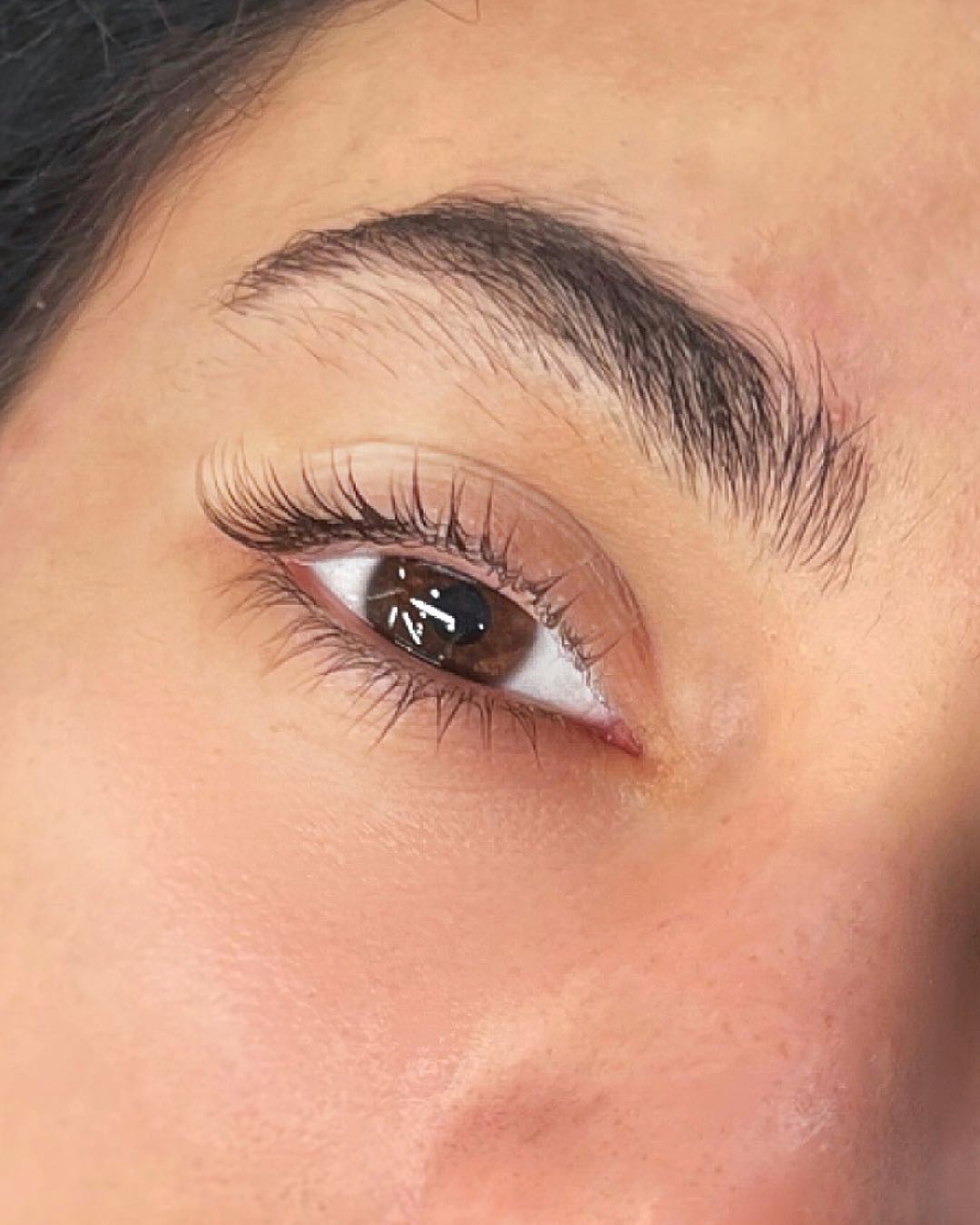 Alexandria Brow&Beauty lounge #beograd Trepavice Lash lift