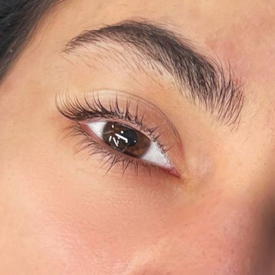 Alexandria Brow&Beauty lounge #beograd Trepavice Lash lift