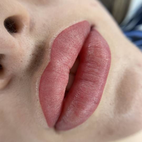 Let's go Ladies #beograd Trajna šminka Trajna šminka usne - full lips