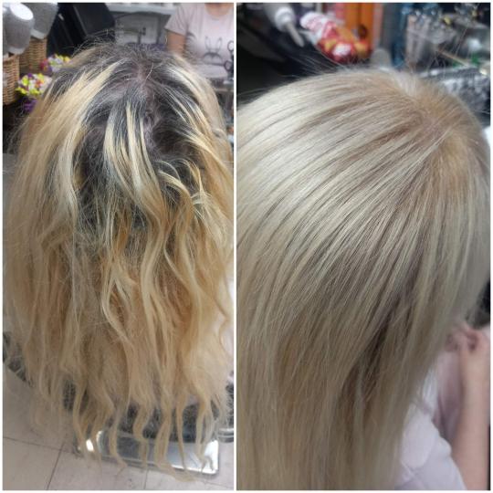 Royal cut - No Limit #beograd