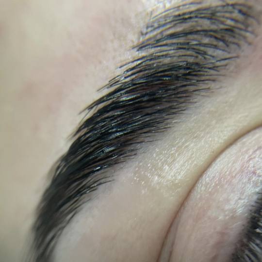Beauty Nikka #novisad Obrve Brow lift