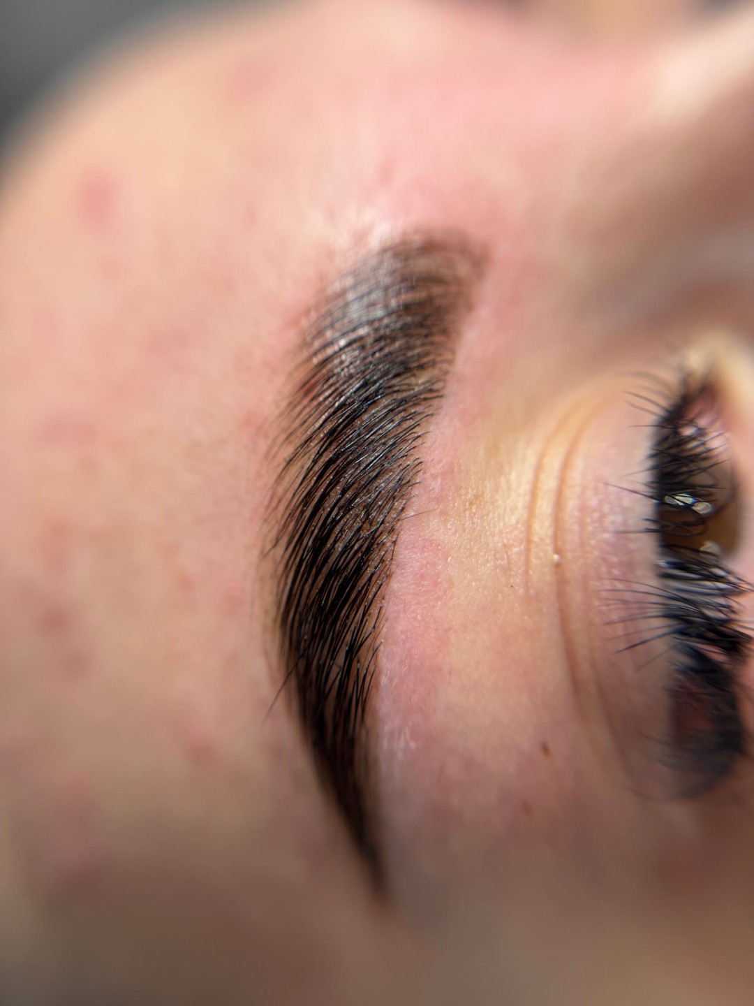 Laminacija obrva + farbanje obrva kanom + botox - Alexandria Brow&Beauty lounge, Beograd Make-up / šminkanje Lice Make-up / šminkanje, Beograd, Centar, Stari grad, Dorćol