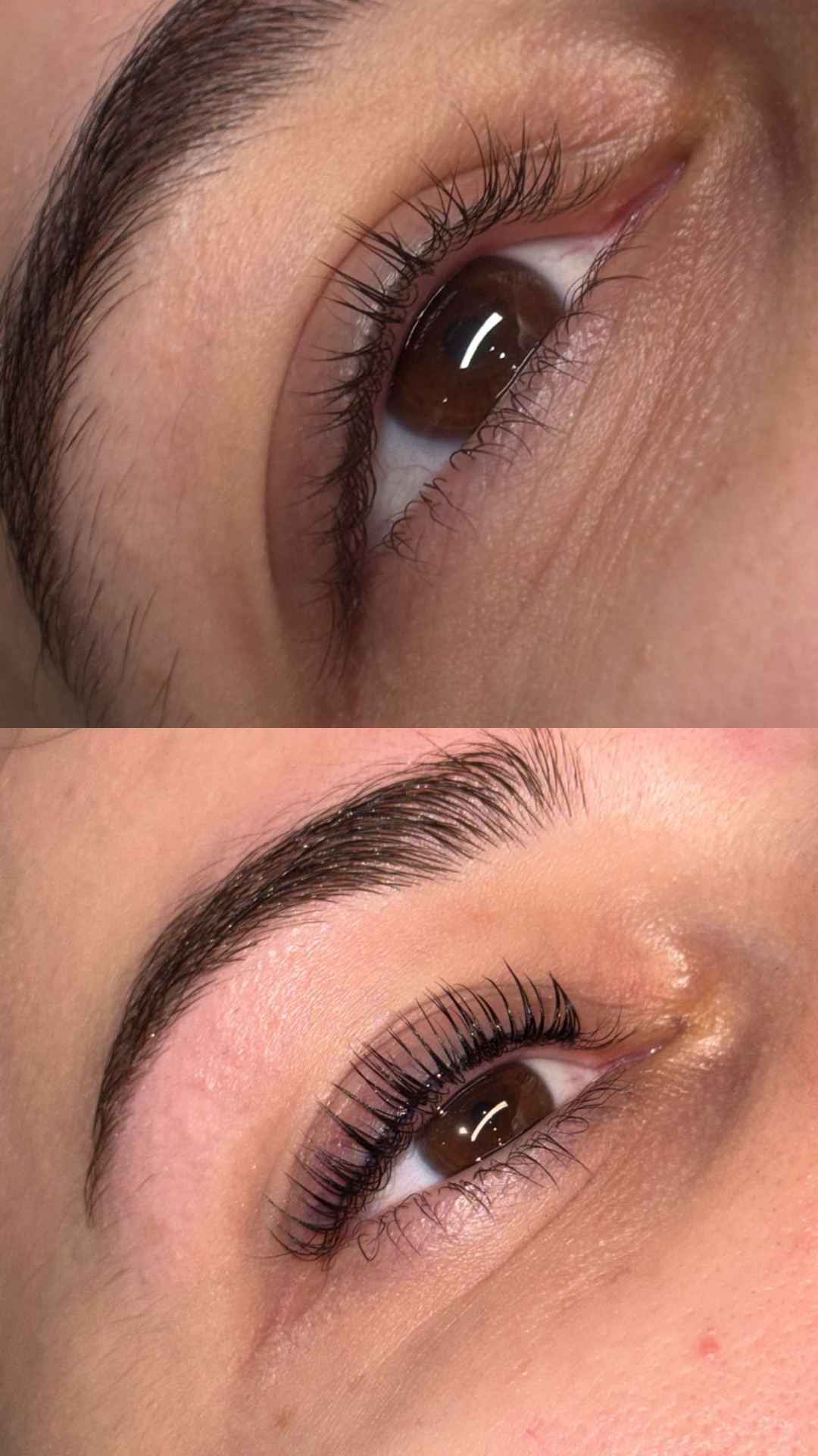 Alexandria Brow&Beauty lounge #beograd Trepavice Lash lift