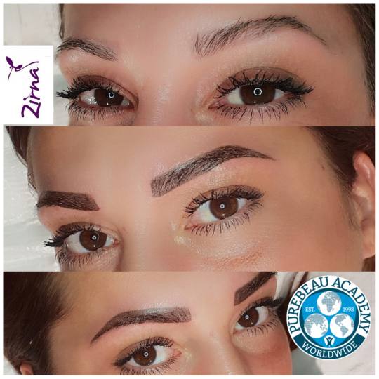 Zirna Exclusive Beauty Center #novisad Obrve