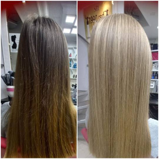 Royal cut - No Limit #beograd