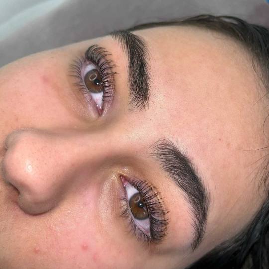 Ashanti Beauty Salon & Academy #beograd Trepavice Lash lift + farbanje trepavica