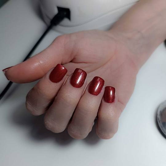 M Studio 0303 #novisad