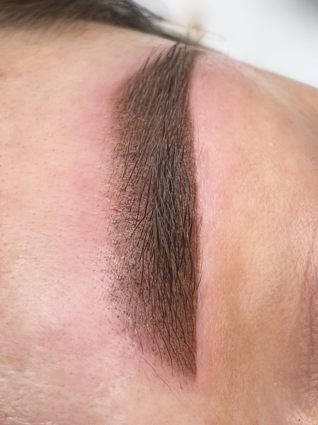 L’Avenue #beograd Trajna šminka Puder obrve