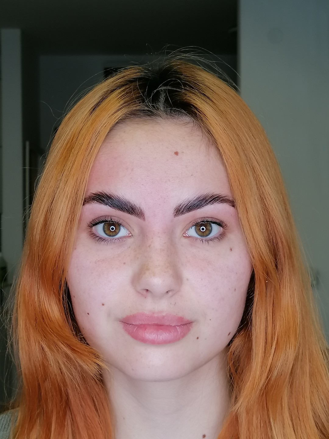 Brow lift - Beauty Studio Asja 2, Novi Sad Obrve Lice Obrve, Novi Sad, Rotkvarija, Podbara, Salajka