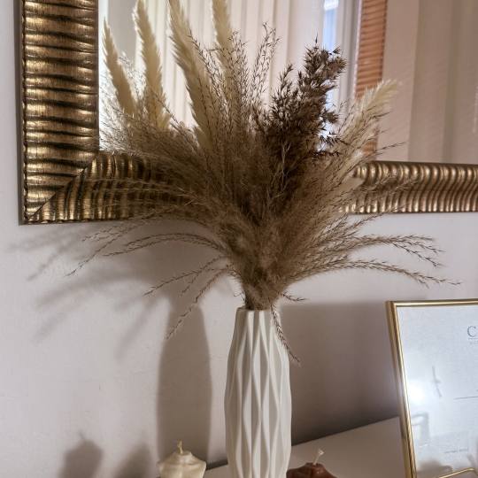Studio Modesty - T - Almond #beograd