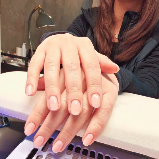 Nikita studio usluga