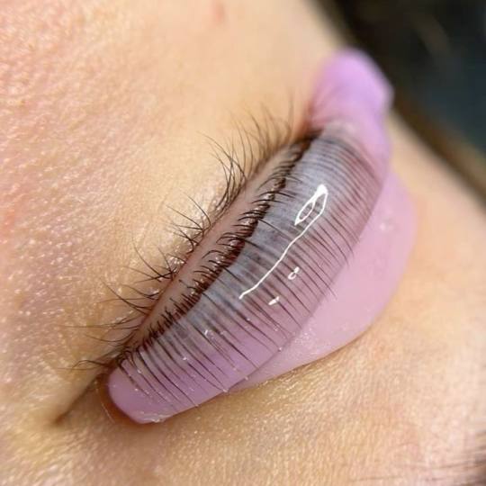 Nega i lepota NS 1 #novisad Trepavice Lash lift