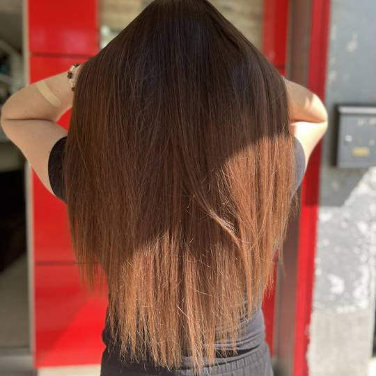 Royal cut - No Limit #beograd