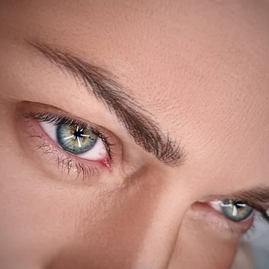 ElenA Studio #novisad Trajna šminka Hairstroke - prvi tretman Hairstroke obrve - dobija se efekat p