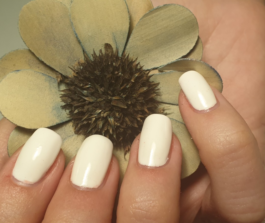 Brankica beauty artist #beograd Gel lak Gel lak - ruke