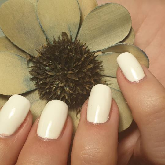 Brankica beauty artist #beograd Gel lak Gel lak - ruke