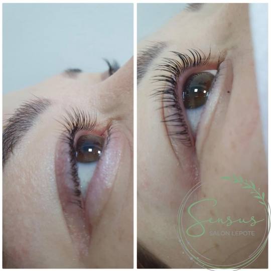Sensus Zemun #beograd Trepavice Lashlift trepavica