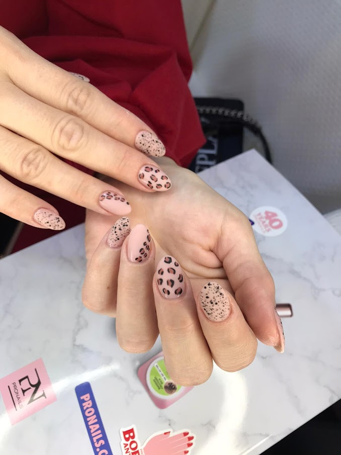 Pronails Premium - Belvil #beograd