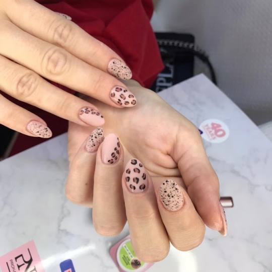 Pronails Premium - Belvil #beograd