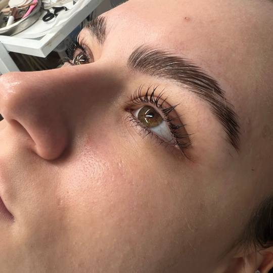 Alexandria Brow&Beauty lounge #beograd Trepavice Lash lift + brow lift