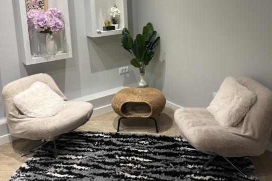 Prostor za psihoterapiju Psihološko savetovalište Mir Beograd