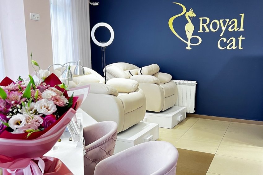 Frizersko kozmetički salon Royal cat Beograd