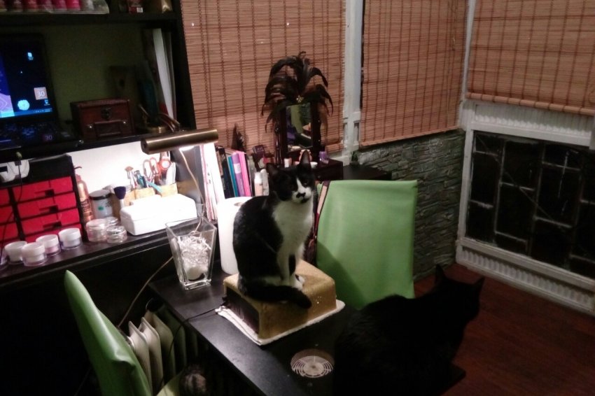 Kozmetički salon Witch nail room Beograd