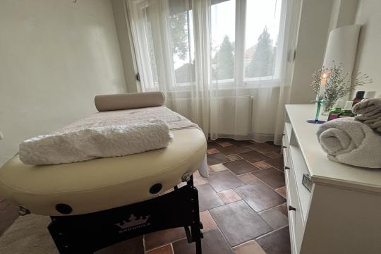Salon za masažu Ruska masaža - Begeč Novi Sad