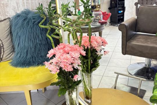Frizerski salon JJ plus Novi Sad